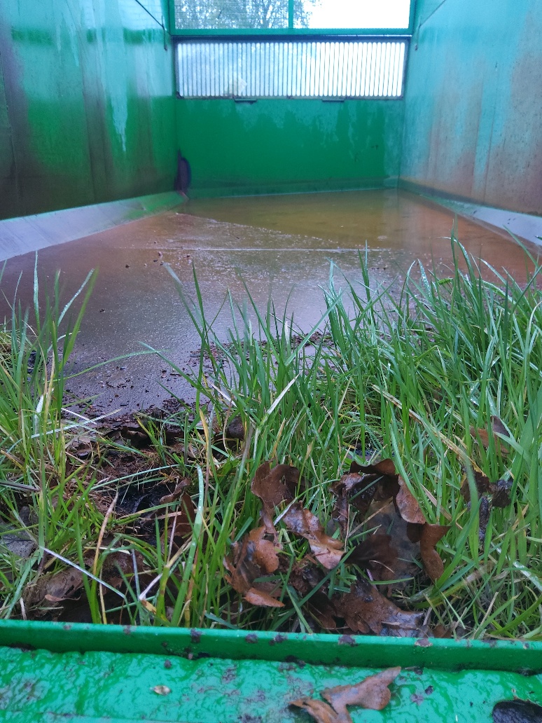 /photos/20230427_185234_resized.jpg